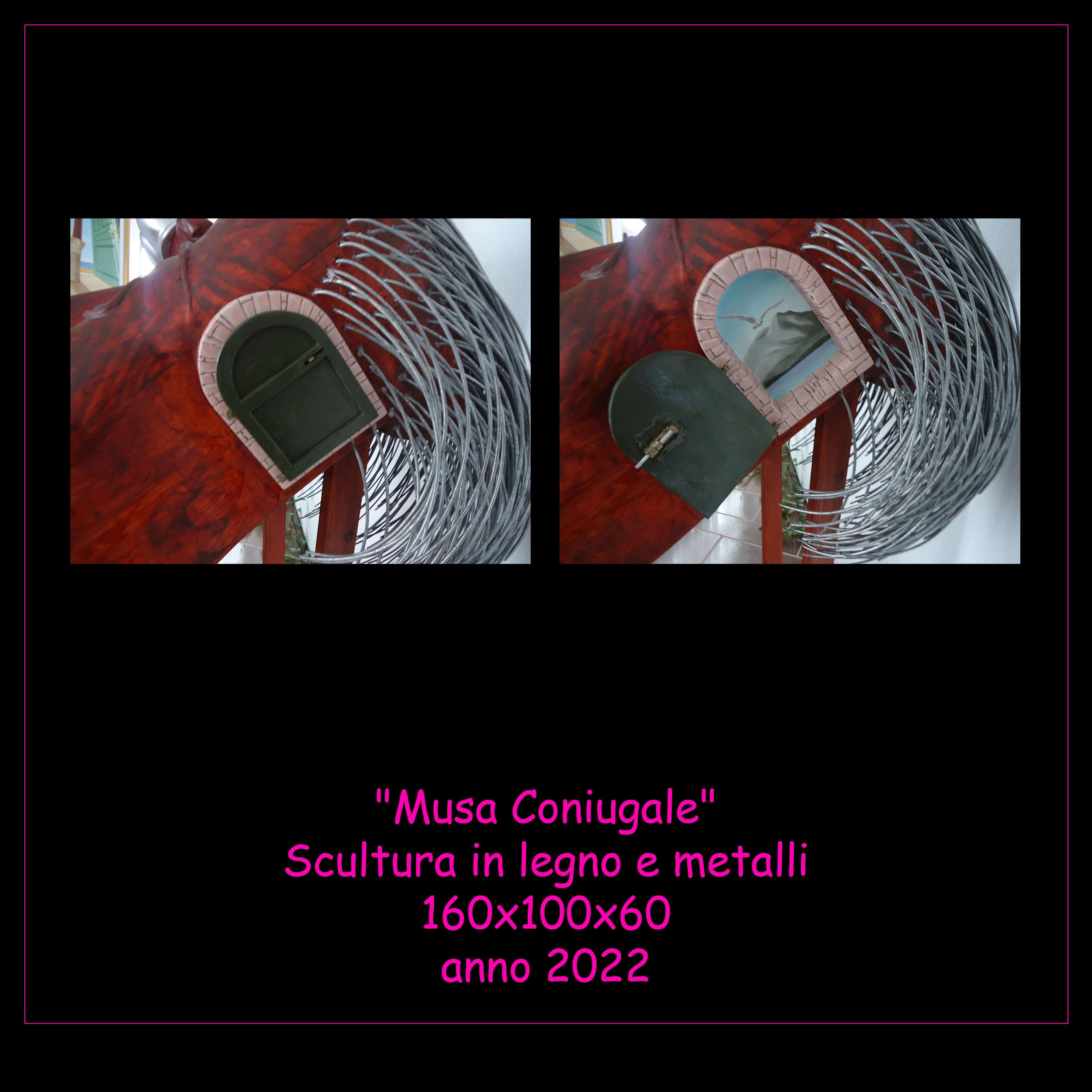 musa coniugale 2-min